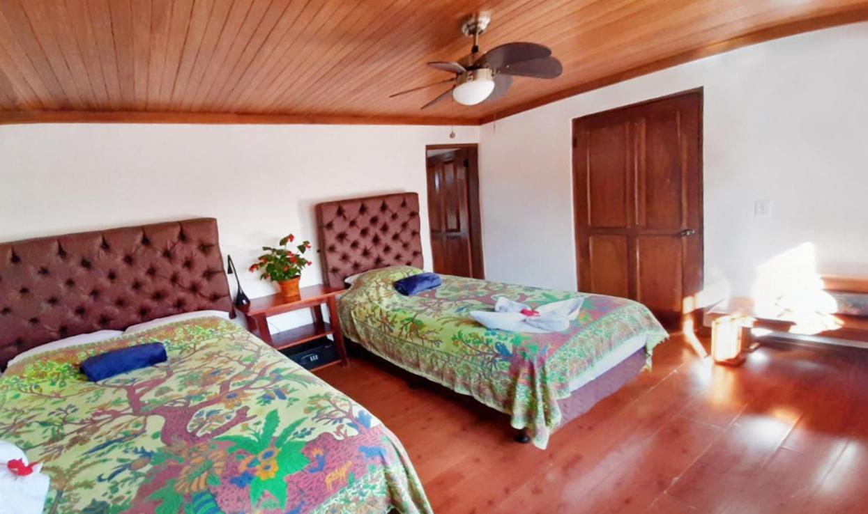 Luna Inn B&B Ciudad Cariari Exterior foto
